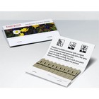 Green & Good Seed Stix - Flower Set