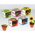 Green & Good Tiny Terracotta Cube grow kit
