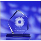 Irregular Award 200x180x70mm
