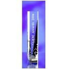 Tall Boy Award 300x60x65mm