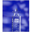 Top Star Award 250x100x30mm