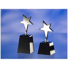 Black & Silver Star Award 163x76x69mm