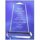 Point Award 228x180x50mm