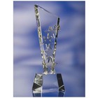 Star Explosion Award 248x80x55mm