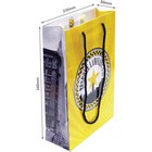 Large Laminate Gift Bag with a single colour print all over