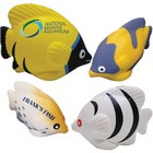 Stress Tropical Fish