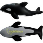 Stress Killer Whale