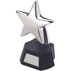 Star Trophy Award