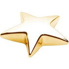 Star Award Paperweight