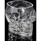 Skull shaped drinking bowl