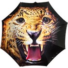 OneBrella