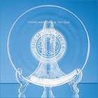 Large Clear Plate Stand