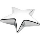 Star Paperweight