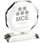 Medium crystal octagon award