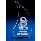 Crystal Glass Breeze Award