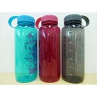 Turtle 650ml water bottle