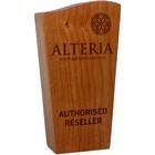 Medium Real Wood Block Awards - Simple Shapes