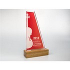 Acrylic Awards with Personalised Real Wood Base - small