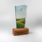 Acrylic Awards with Personalised Real Wood Base - large