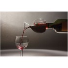 Wine Decanter Renis