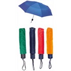 Umbrella Mint