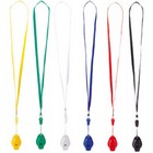 Whistle Colina