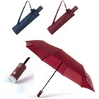 Umbrella Dack