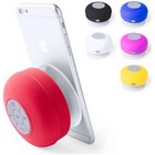 Speaker Rariax