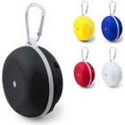 Speaker Audric