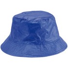 Reversible Hat Nesy