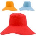 Hat Shelly
