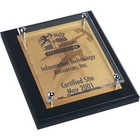 12x9 Inch Plaque