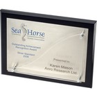 13x19 Inch Plaque
