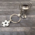 3d Trophy Keyring