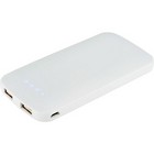 Pb-4000 Zippy Slim Dual Power Bank
