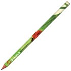 BIC Ecolutions Evolution Digital Cut End Pencil