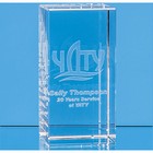 12cm x 6cm x 6cm 3D Engraved Optical Crystal Rectangle, H or V