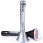 Speaker Microphone Varelion