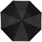 23'' Victor 2-section Automatic Umbrella