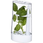 Versil Herb Preserver