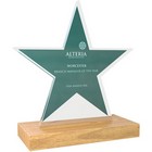 Bespoke Shaped Acrylic Awards with Real Wood Base - small