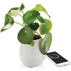 Flowerpot speaker