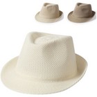 Hat Bauwens