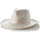 Hat Palviz