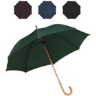 Business Umbrella