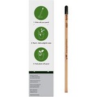 Sprout , Pencil in single packaging