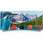 Large Fabric Banner with Eyelets