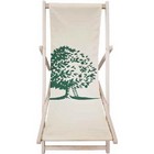 Deck Chair