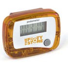 Carmel Pedometer