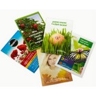 Seed Packet Large